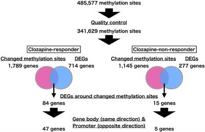Methylation Analysis in Monozygotic Twins With Treatment-Resistant Schizophrenia and Discordant Responses to Clozapine